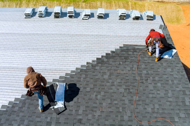Best Roof Insulation Installation  in Gardendale, TX